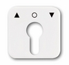 2557pz214101 als Beispiel für Schlüsselschalter aus dem Schalterprogramm Busch-Jaeger Reflex SI Linear.