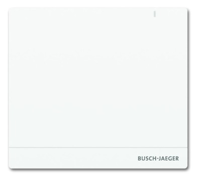 Busch-Jaeger SAP/S.13 System Access Point 2.0 6200 AP-102