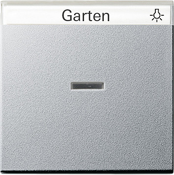 Gira 067026 System55 Kontroll-Lichtschalter/Lichttaster Wippe