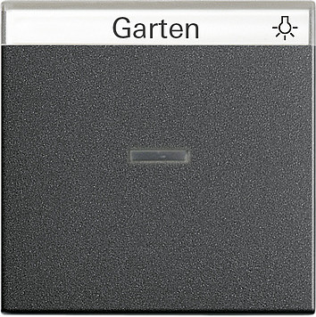 Gira 067028 System55 Kontroll-Lichtschalter/Lichttaster Wippe