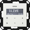 Gira 228403 System55 Unterputz-Radio RDS