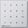 Gira 260566 TX44 Keyless-In-Codetastatur