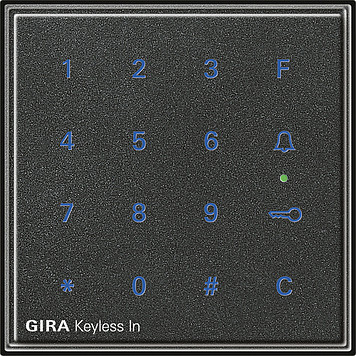 Gira 260567 TX44 Keyless-In-Codetastatur